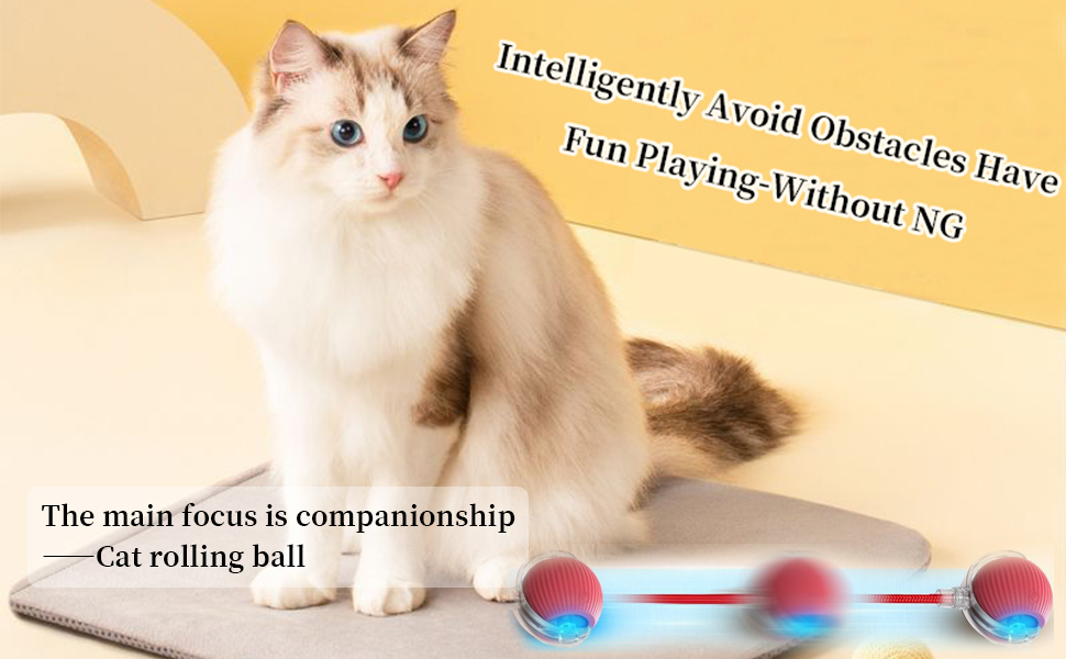 Interactive Cat Toys