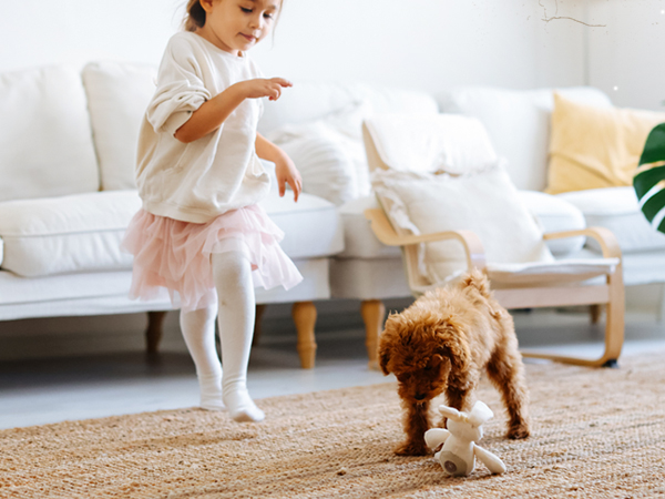 Faster Air Purifiers