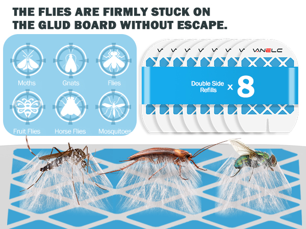 Indoor Fly Trap, Plug-in Bug Light Catcher with UV and Blue Light