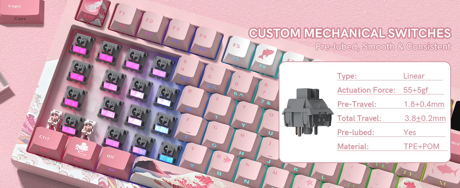 SWITCHES