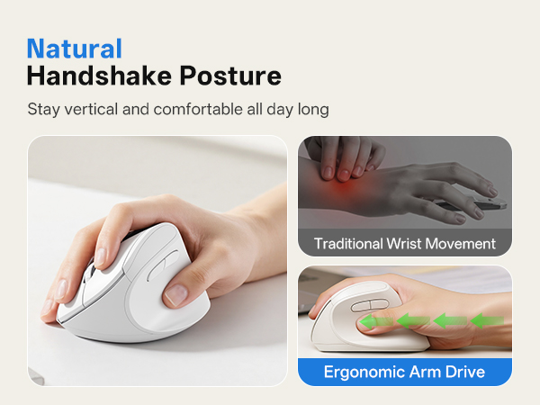 ergonomic mouse wireless