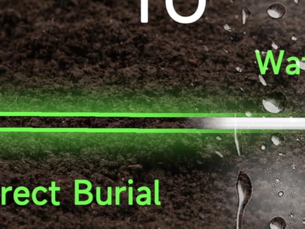 cat6a ethernet cable 150ft