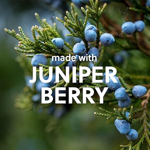 Juniper Berry