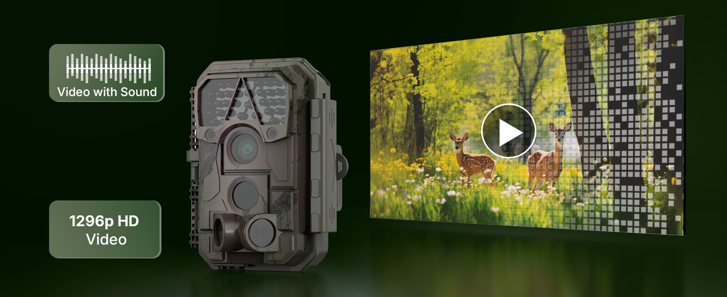 trail camera