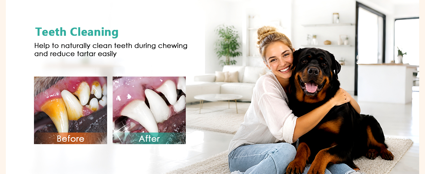 dog teething toy