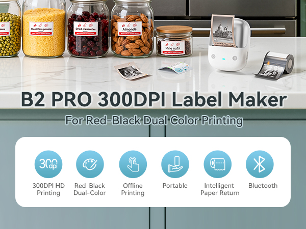 niimbot b2 pro label maker label sticker