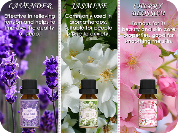 meet strict quality standards, which are vegan friendly and do not perform animal testing.