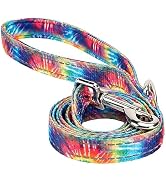 EcoBark Dog Leash - 4 FT / 5 FT / 6 FT Reflective Dog Leash- Eco-Bright Dog Leashes with Padded H...
