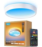 Govee Sky Ceiling Light 21 Inch, 7000LM Smart Flush Mount Ceiling Light | Eye-Care Artificial Sky...