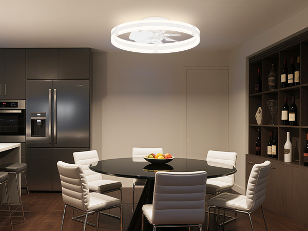 kitchen ceiling fan with light and remote control