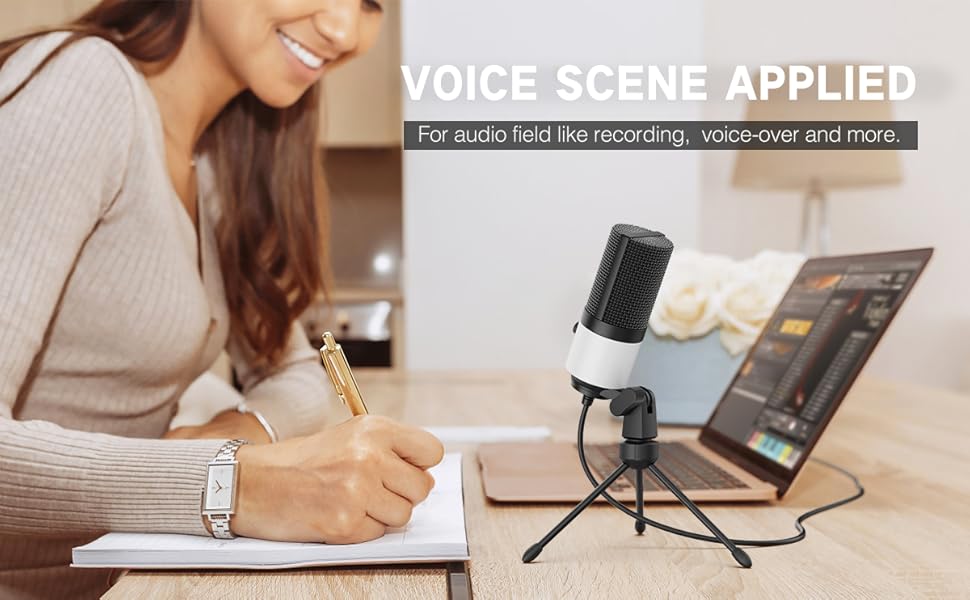 podcast mic recording voice-over dubbing video conference online meeting