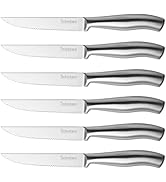 Steak Knife Set of 6, 4.5 inches Dishwasher Safe High Carbon Stainless Steel Knives, Silver