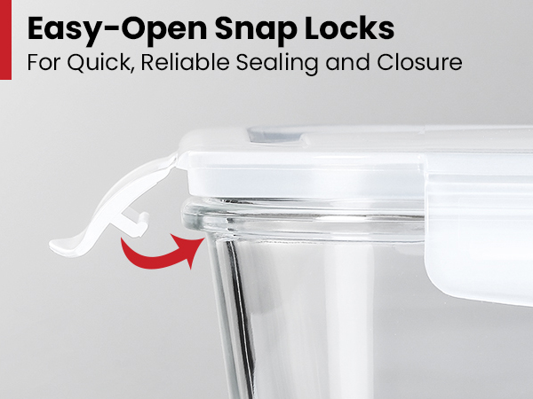 Hinge Snap Lock