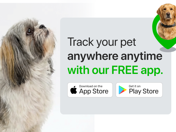 free app track pet tracki Dog