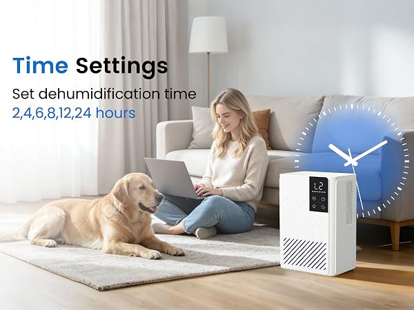dehumidifiers for home