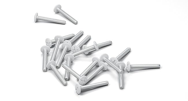 304 Stainless Screw