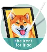 BELLEMOND kent paper screen protector smoooth feeling