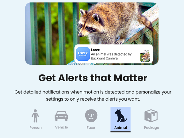 Get Alerts that Matter - Animal Detection