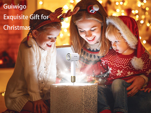 guiwigochristmasgift