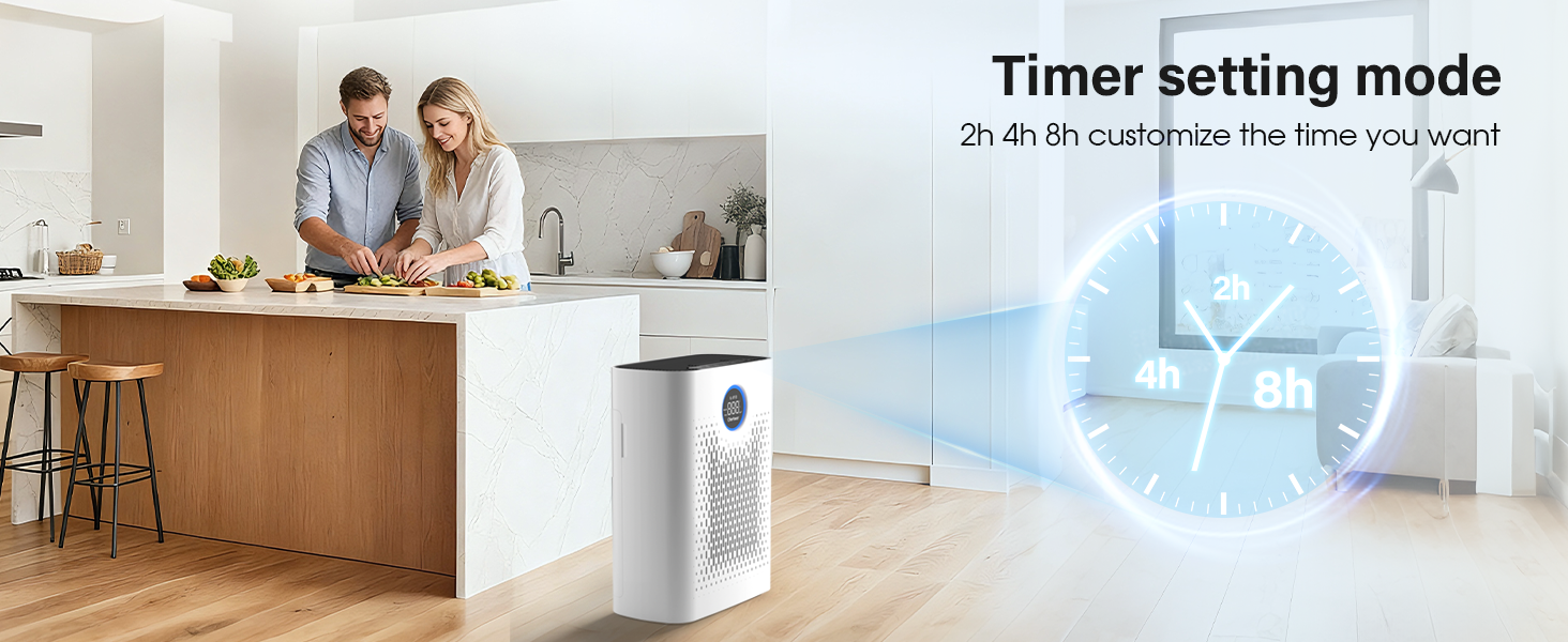 air purifier for dust