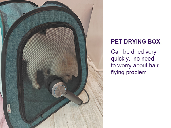 pet drying box