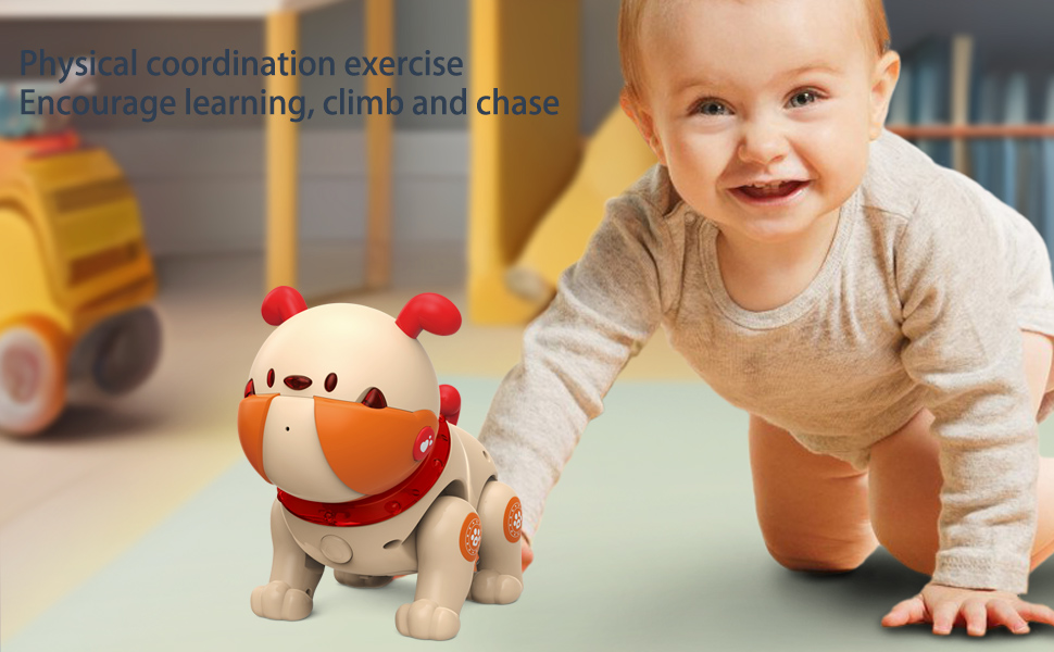 Physical coordination exerciseEncourage learning, climb and chase
