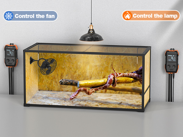 reptile thermostat