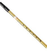 Sondery Irish Tin Whistle Key of D Made from Brass A Bright Brass Wind Type Sound Penny Whistle