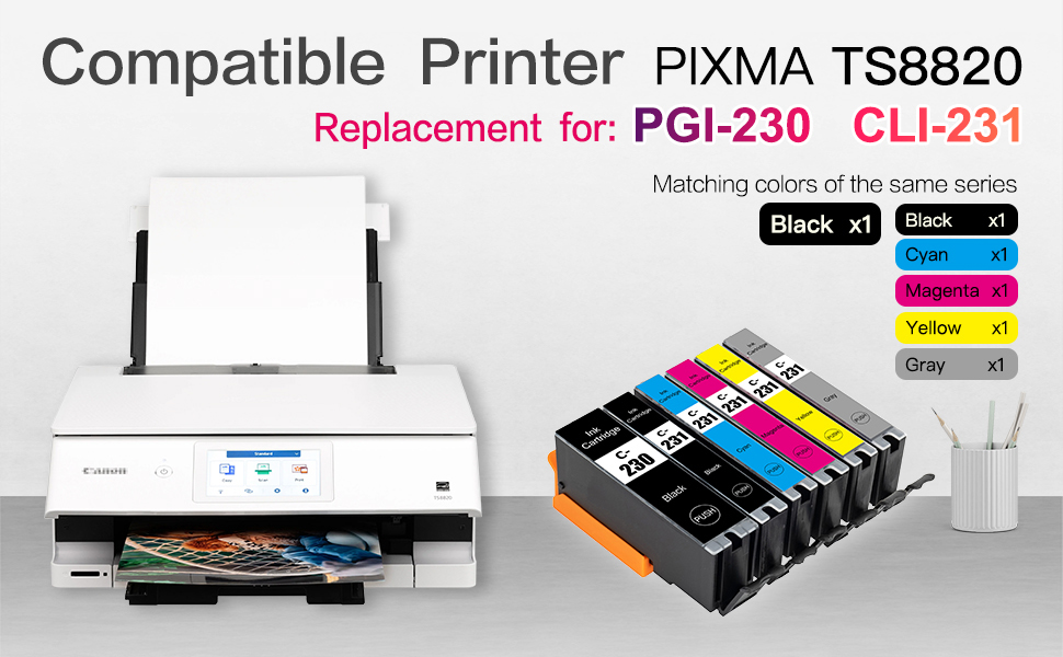 Compatible Printer PIXMA TS8820