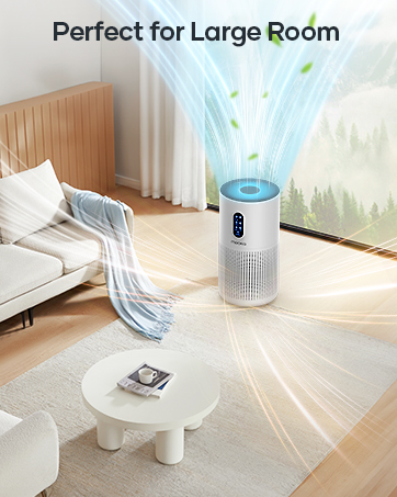 air purifiers for home large room