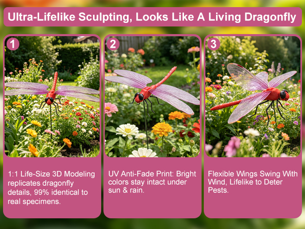 dragonflies to keep bugs away