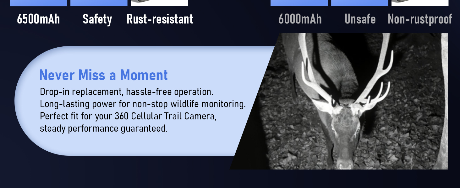 aplus content image