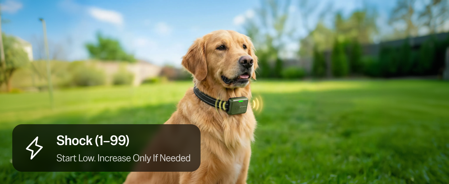 dogs collar para perros dog shock collar with remote large dog shock collar small dog collars puppy
