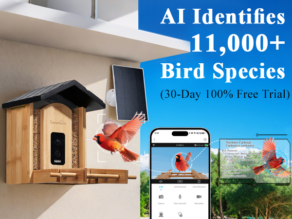 ai bird cam