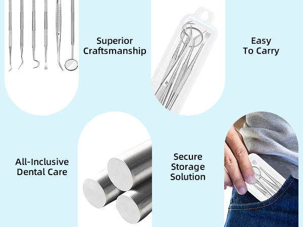 6 Pcs Dental Tools Set