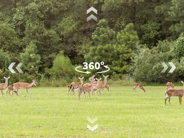 360 trail camera