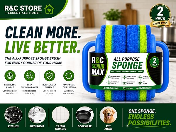Sponge