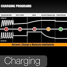 battery trickle charger