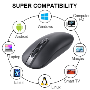 computer mouse