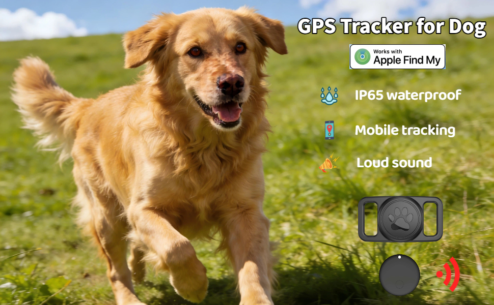 GPS Collar for dog