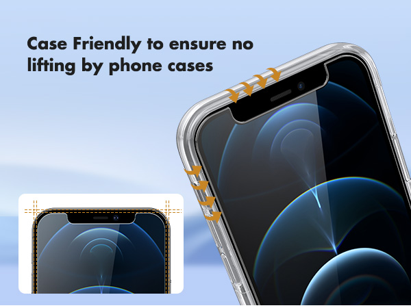 12 pro screen protector