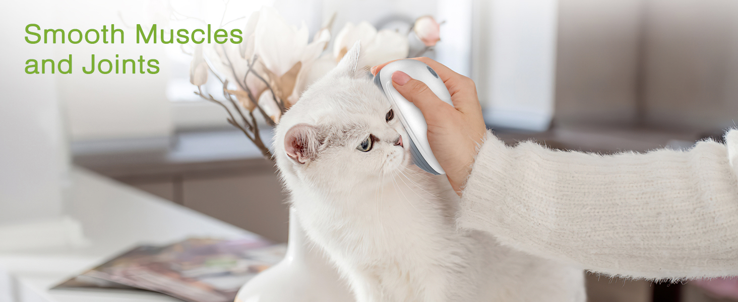 Cordless Pet Massager