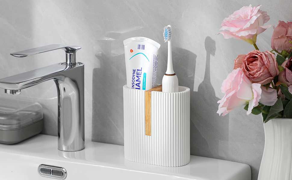 tooth brush holder