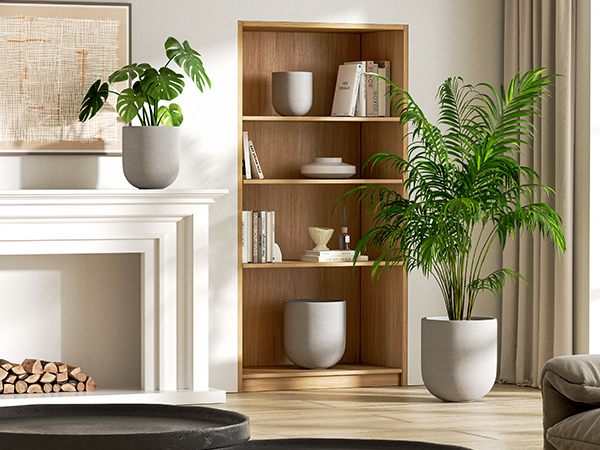 plant pots indoor