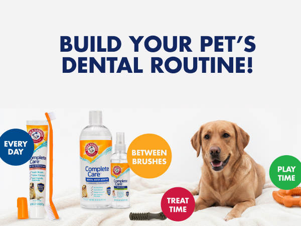 Build your pet's dental routine!