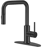 Kitchen Faucet Single Handle Stainless Steel Kitchen Sink Faucet with Pull Out Sprayer Matte Black