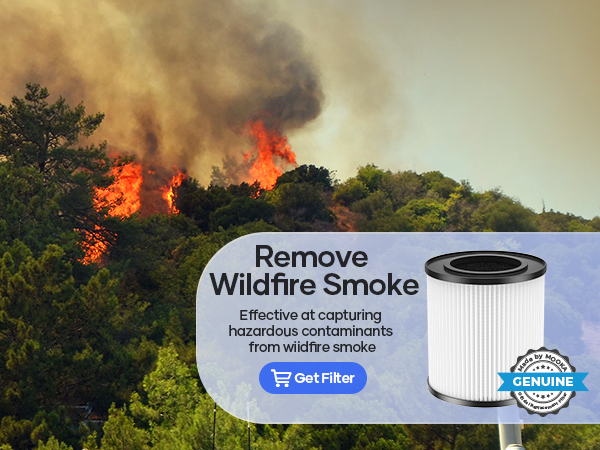 air purifiers for bedroom