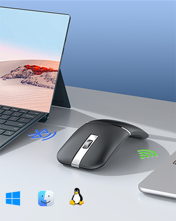 Taimousetvs mouse
