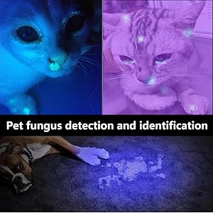 Pet Urine Detector