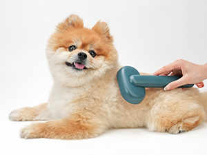 cat brush dog brush for shedding